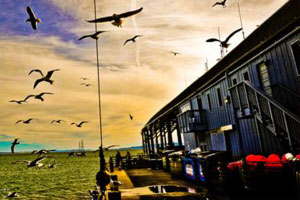 在线DDOS压力测试网页端