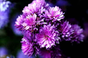 Web漏洞扫描工具